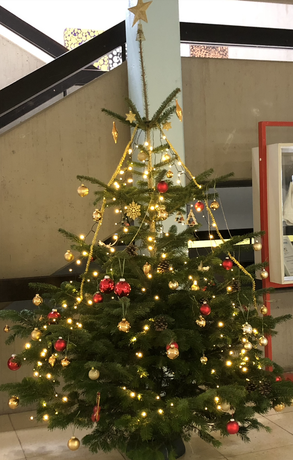 Mehr über den Artikel erfahren Oh Tannenbaum, Oh Tannenbaum …