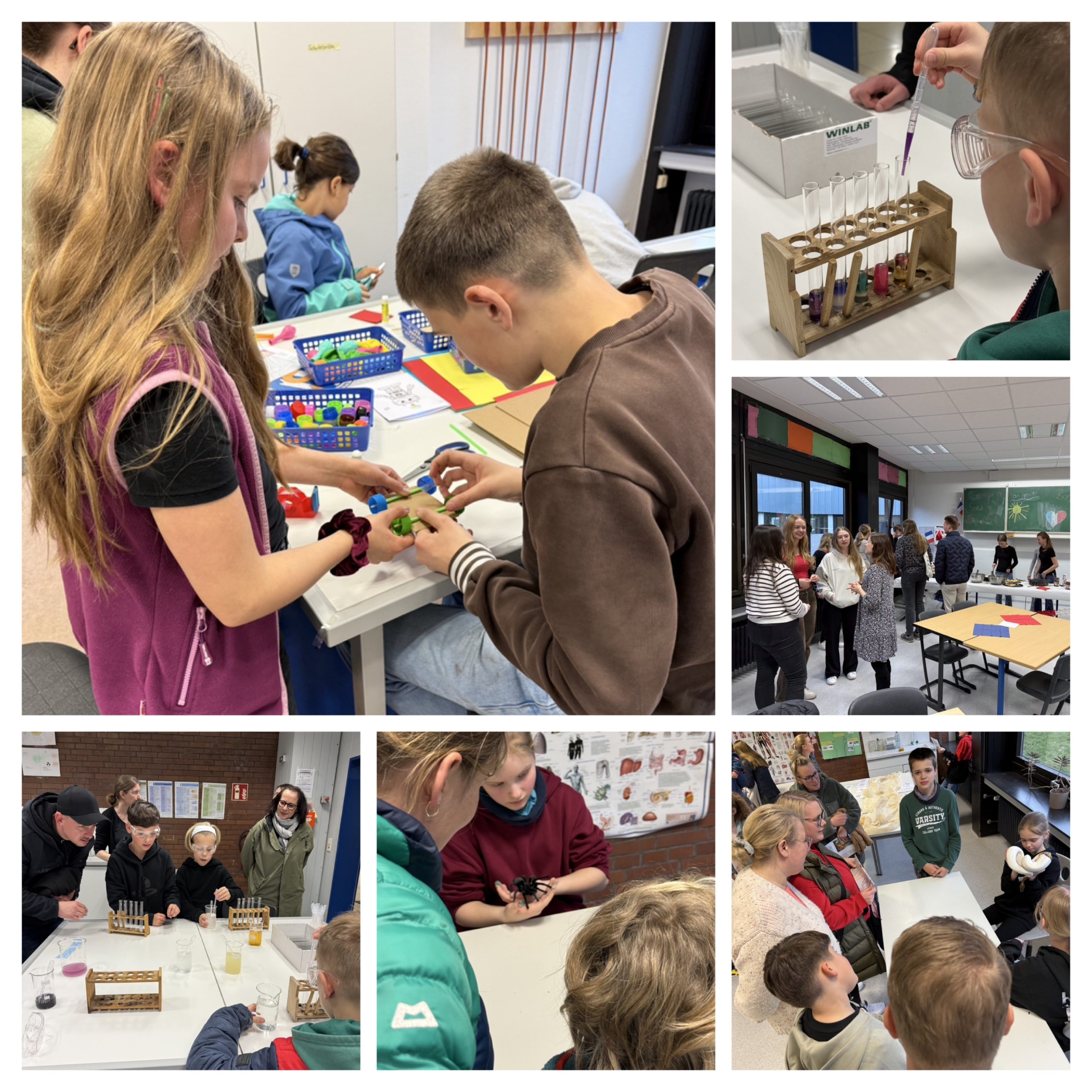 Mehr über den Artikel erfahren Zukünftige Fünftklässlerinnen und Fünftklässler entdecken die Molitoris-Schule