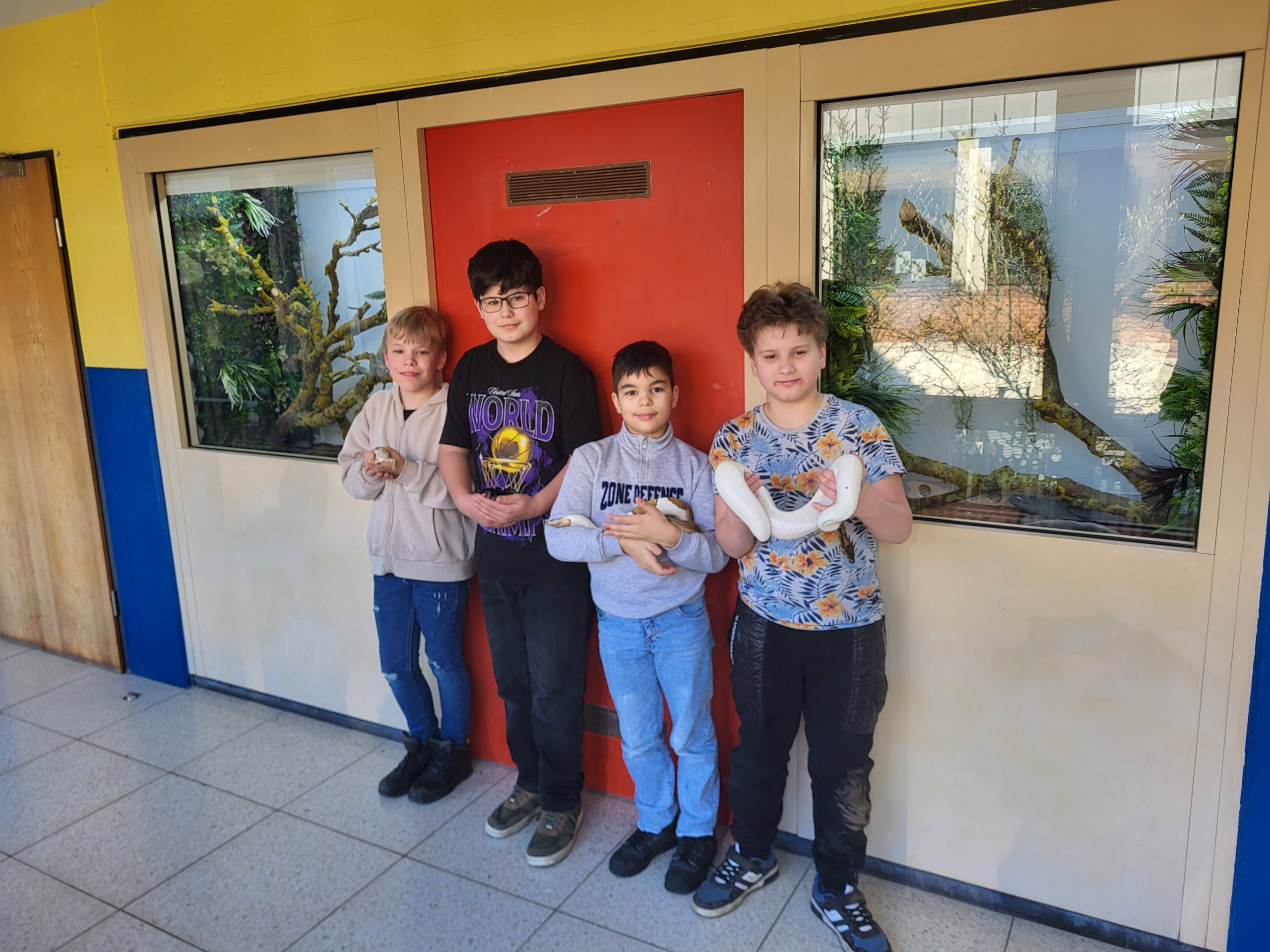 Mehr über den Artikel erfahren Von Schlangen und Schildkröten – die Schulzoo-AG