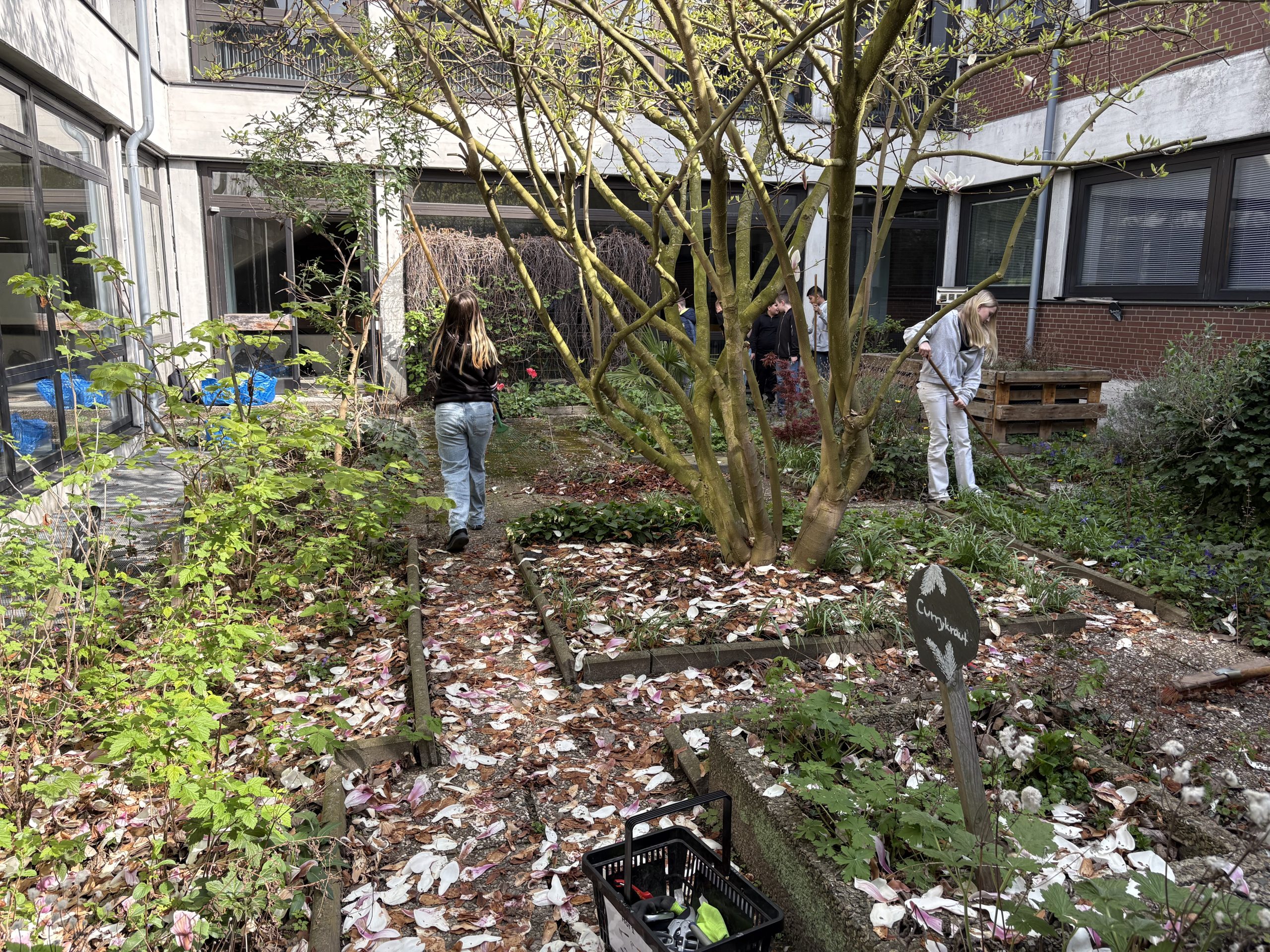 Mehr über den Artikel erfahren Frischer Start im Kräutergarten