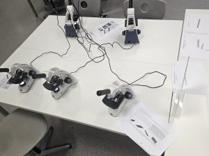 Mehr über den Artikel erfahren Molitoris-Tag 2026: Ein gelungener Abschluss der Projektwoche